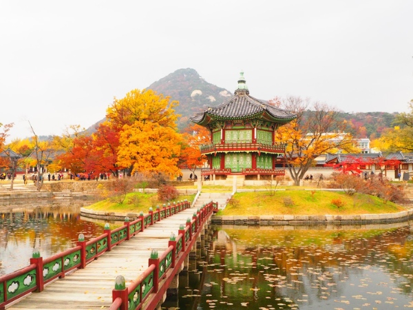 Cách xin visa Hàn Quốc online như thế nào?