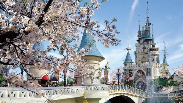 Gia hạn visa Hàn Quốc giúp bạn yên tâm học tập, làm việc và sinh sống hợp pháp