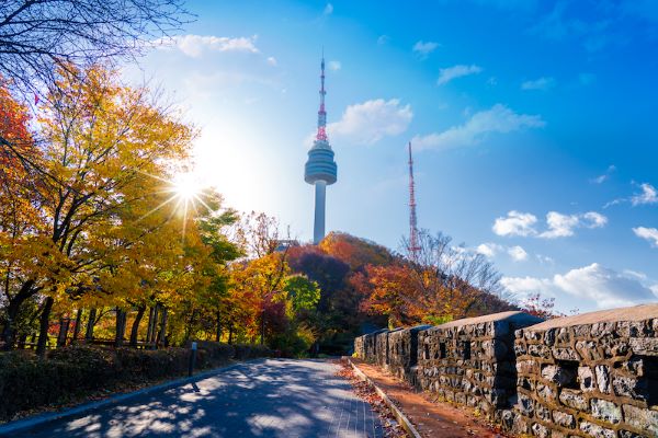 Quá cảnh Hàn Quốc có cần visa không? Câu trả lời sẽ giúp bạn tránh rắc rối khi di chuyển