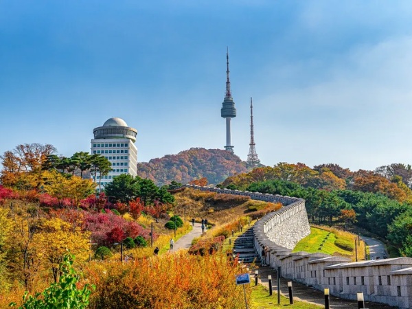 Hướng dẫn tra cứu kết quả xin visa Hàn Quốc