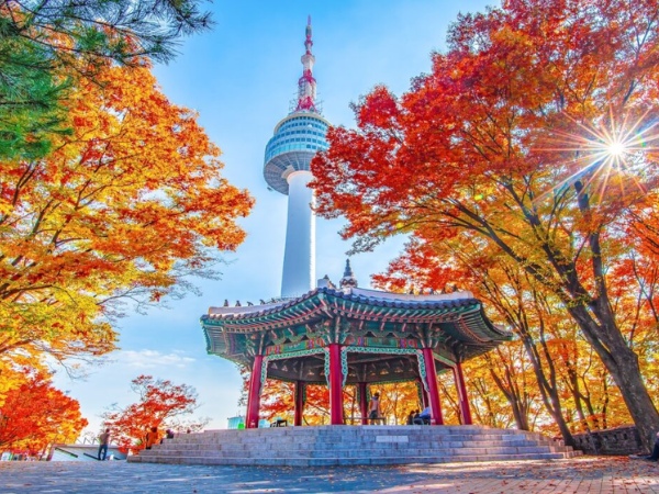 Hướng dẫn cách điền tờ khai xin visa Hàn Quốc chi tiết