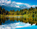 Dịch vụ xin visa New Zealand tốt năm 2025